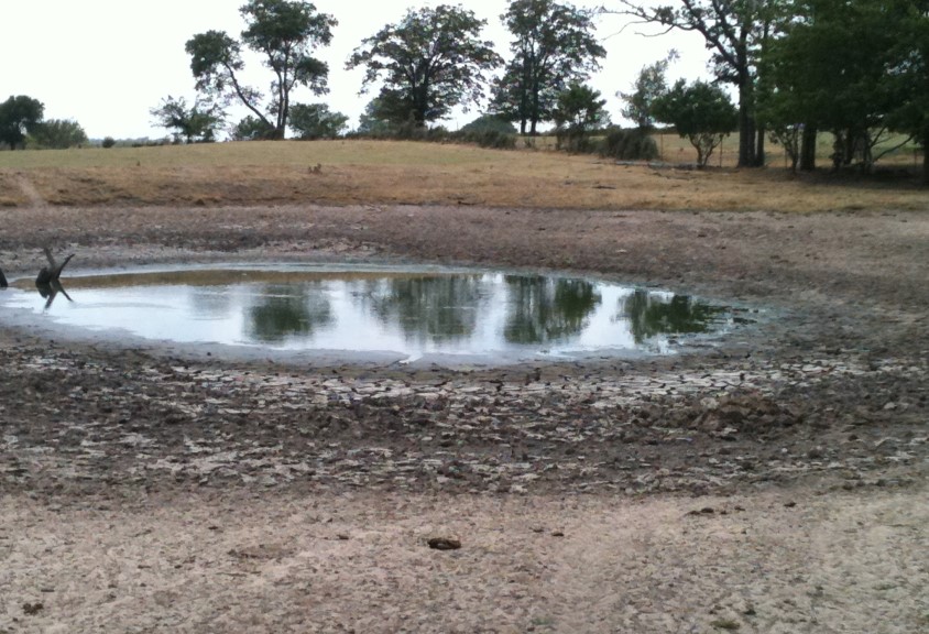 Looking Back on 2012- Drought Costs Oklahomans $400 Million This Calendar Year