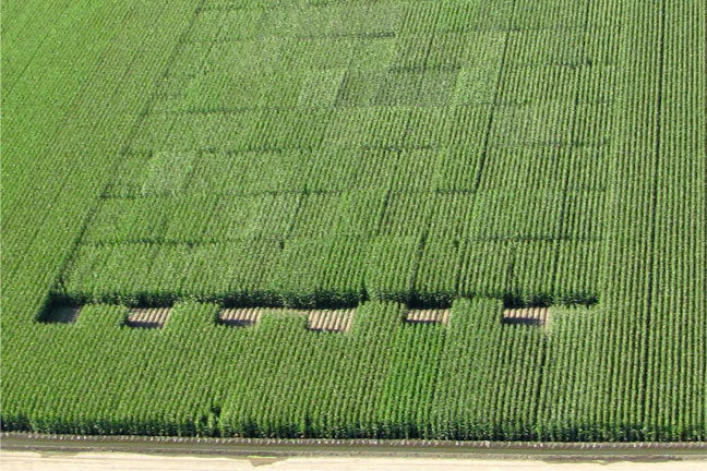 DuPont IMPACT Trials Match Right Product to the Right Acre