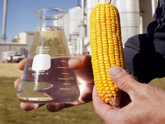 Missouri's Corn and Ethanol Industries Drive Rural Economy
