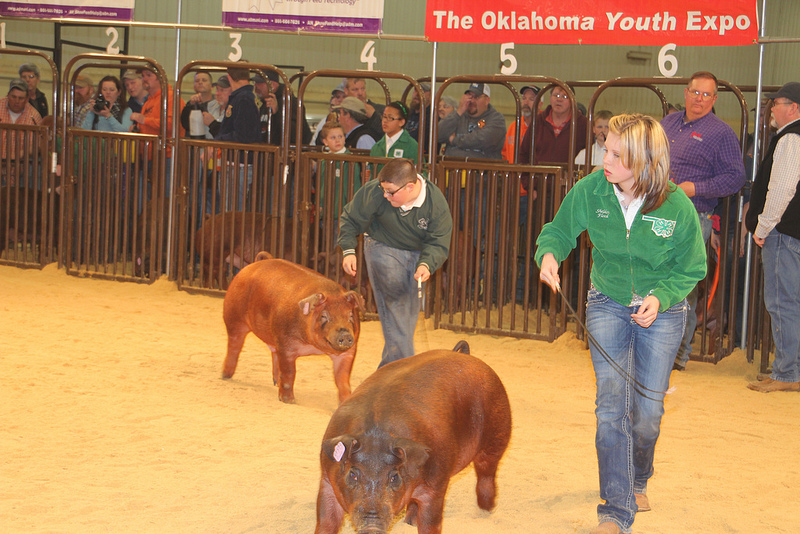 Day One Show Ring Results from the 2013 Oklahoma Youth Expo