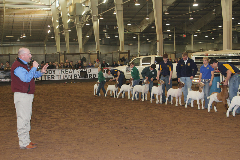 Wether Goat Division Champions Selected at the 2013 Oklahoma Youth Expo