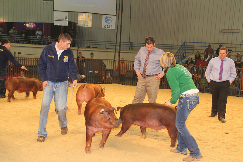 Six Breed Champions Now Selected in 2013 OYE Market Hog Show