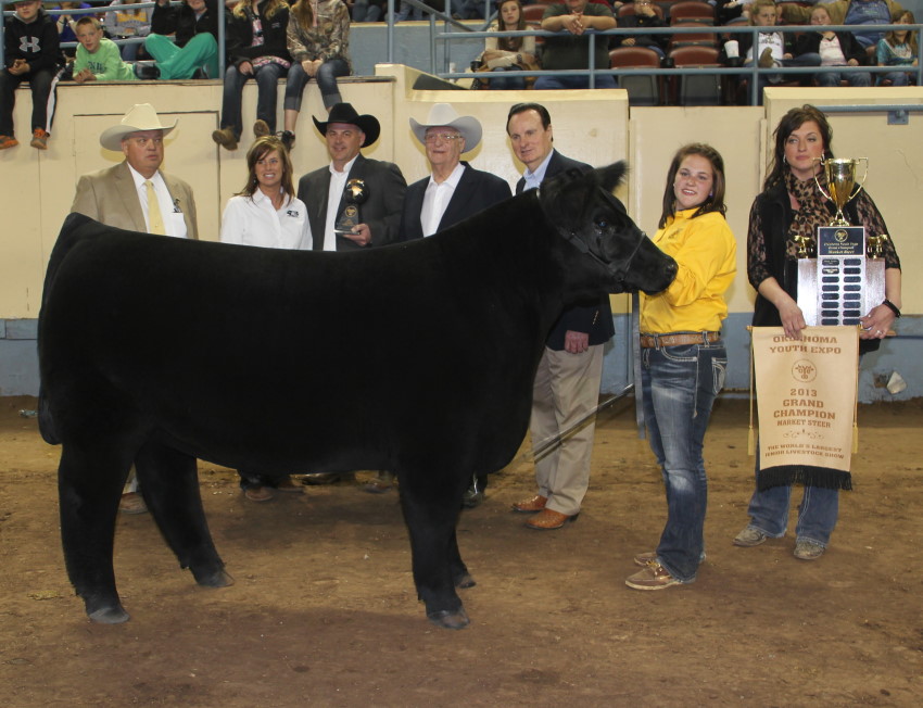 Grand Champion Steer Shown by Mylah Testerman of Hollis FFA Sells for Record $62,000 at 2013 OYE