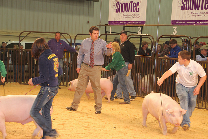 Competition at the 2013 Oklahoma Youth Expo is Underway