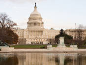 Subcommittee Examines Specialty Crop Programs for the 2013 Farm Bill