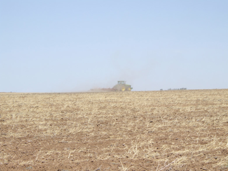 Panhandle Wheat Harvest Could be 90 Percent Below Average, Kochenower Says
