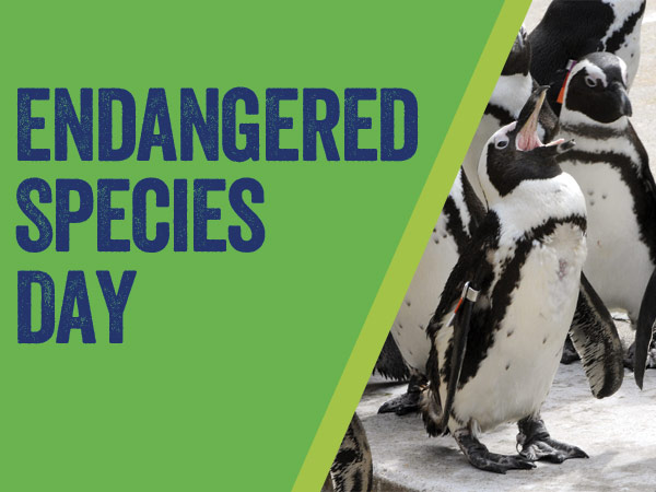 CropLife America Recognizes Endangered Species Day