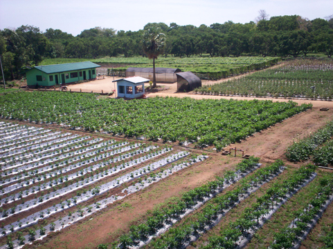 Workshop Geared to Inform on Small-Scale Crop Production, Food Safety