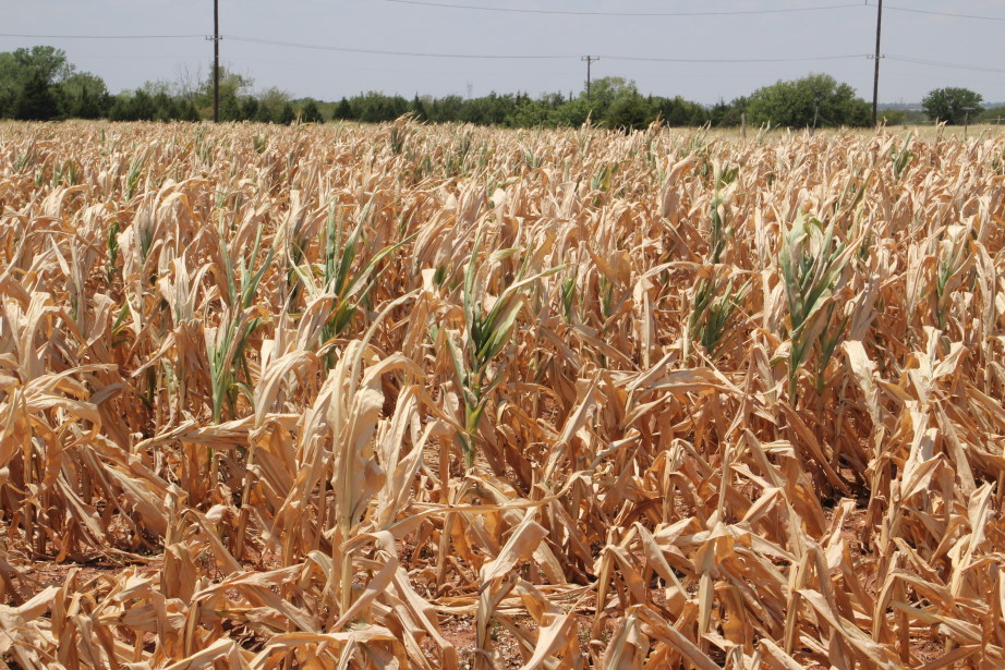 Farmers Shoulder Nearly $17 Billion in Losses in 2012 