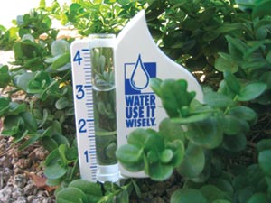 New Website Offers Tips for Conserving Water in Landscapes
