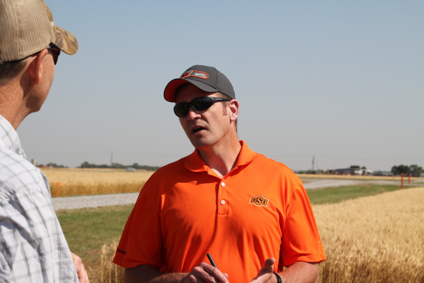 OSU Wheat Specialist Jeff Edwards Calls USDA Wheat Number for Oklahoma Too High