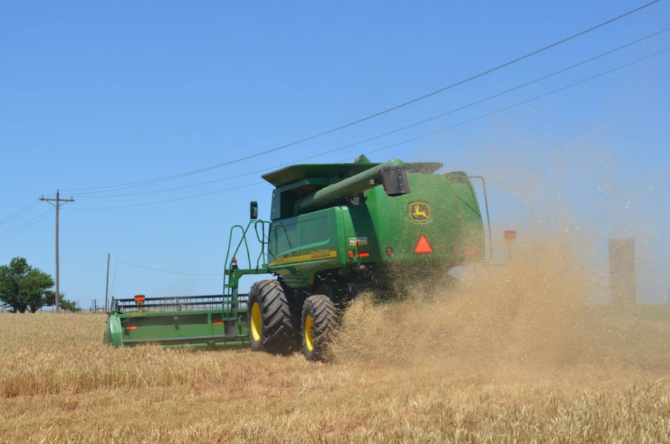 Plains Grains Says Oklahoma Wheat Harvest Fifteen Percent Done and Moving Fast