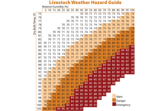Dave Sparks Asks, 'How Hot is Too Hot?' for Livestock