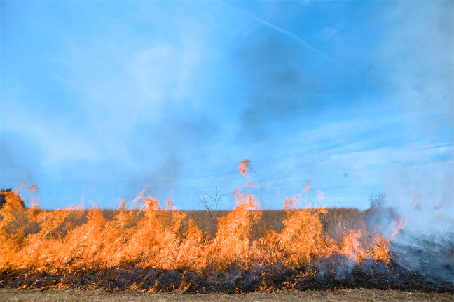 Basic Prescribed Fire Training Now Offered Online