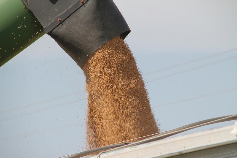 Oklahoma Cash Grain Prices From Wednesday, July 24, 2013