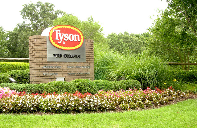 Tyson Signals They Will Quit Buying Cattle Fed with Zilmax September 6