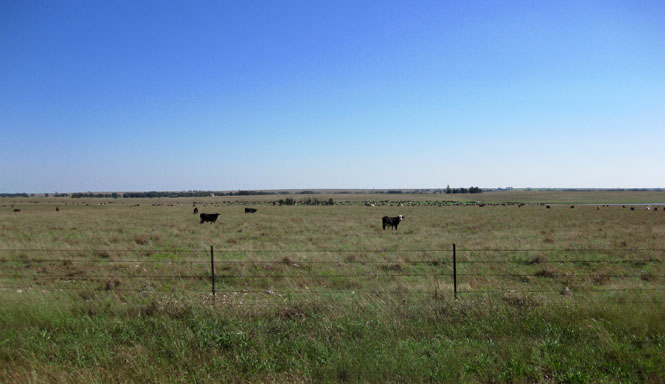 Oklahoma Ranch, Reasor�s Groceries, CAB Tell the Story of Beef
