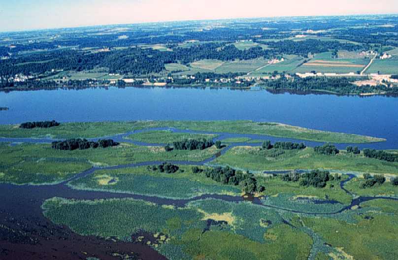 Voluntary Conservation Efforts Dramatically Improving Mississippi River Basin Water Quality