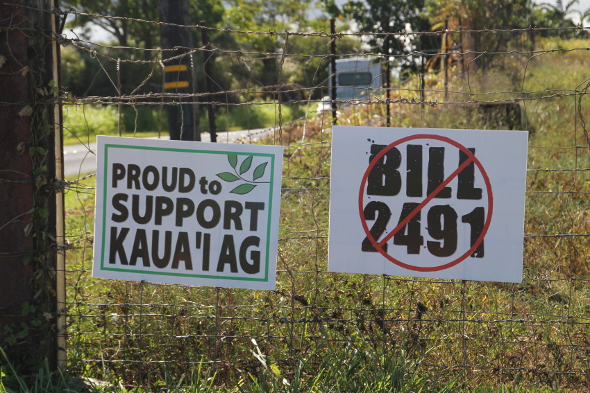 GMOs and Pesticides Under Attack by Activists on the Hawaiian Island of Kauai