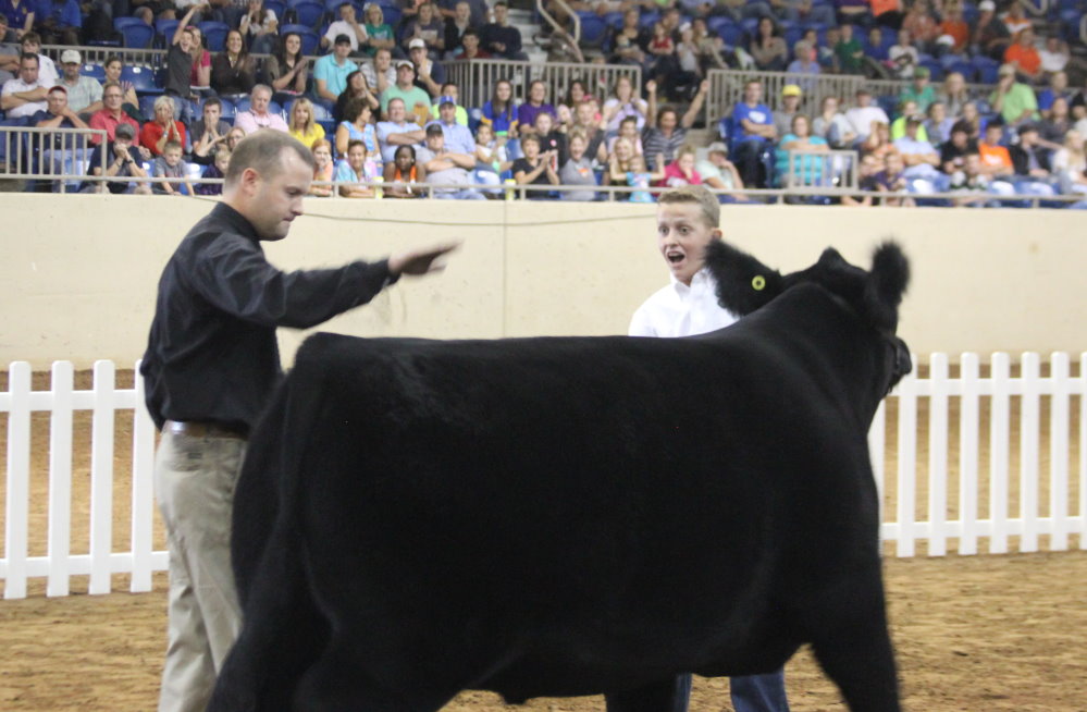 Grand Champions Selected at 2013 Tulsa State Fair- Will Sell in Premium Sale Friday at 11 AM