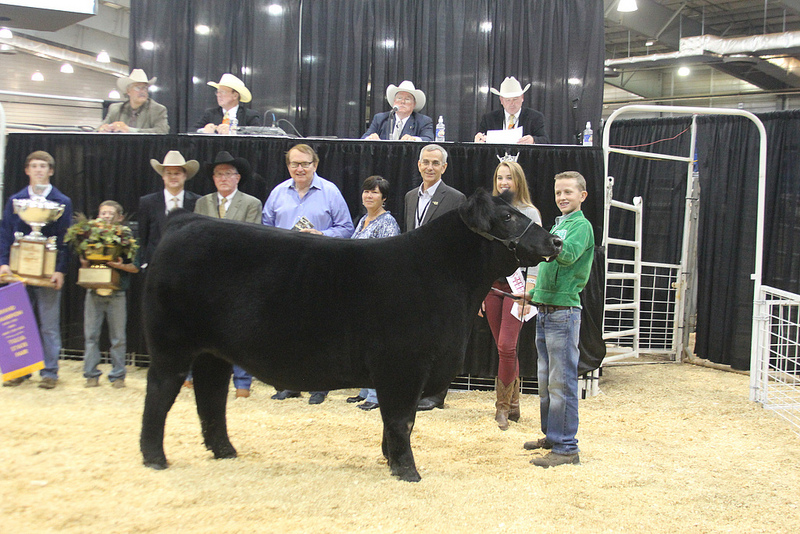 Grand Champion Steer at Tulsa State Fair Sells for $35,000 for Second Year in a Row