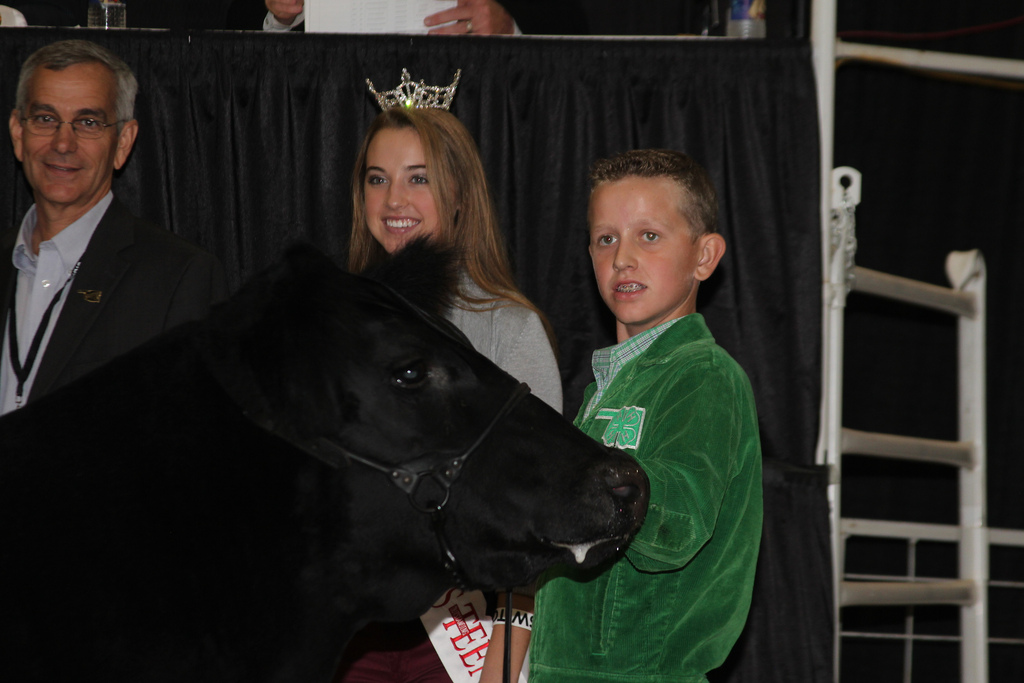 Oklahoma 4-Her Shows Reserve Grand Champion Steer at NAILE