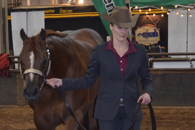 Quarter Horse World Show Comes to Oklahoma City 