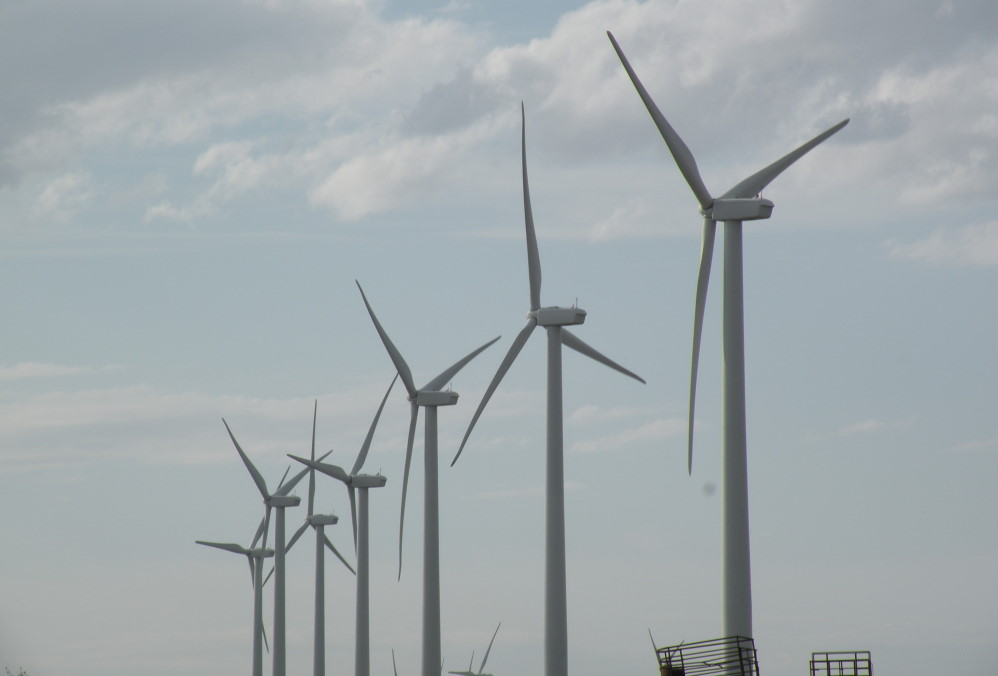 Bird Collisions with Wind Turbines Studied by OSU Researchers