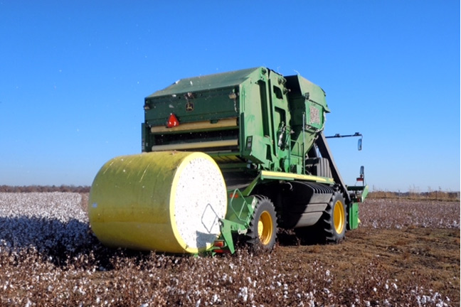 NASS Harvested Cotton Acres Projection for Oklahoma Could be Too High