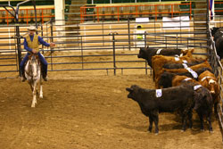 Ratcliff Ranch to Host Cattle Handling Event with Curt Pate