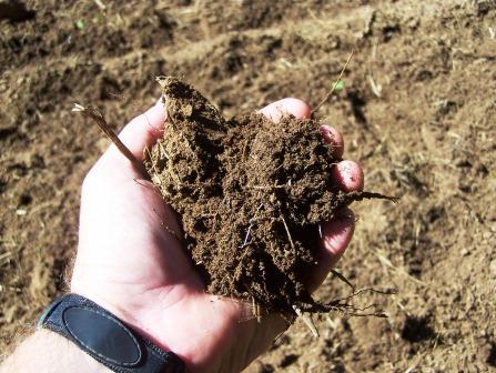 New Initiative Focuses on Critical Role of Soil Health