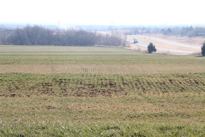 Wheat Specialist Jeff Edwards Says Time to Start Topdressing Wheat