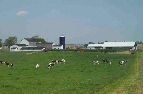Farm Bill Moves Forward With Compromise on Dairy Policy 