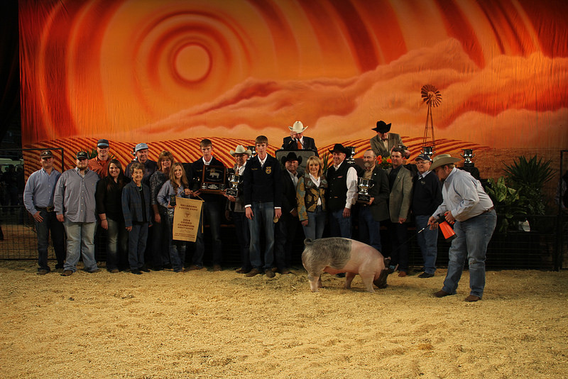 Grand Champion Market Barrow at 2014 OYE Sells for $17,500