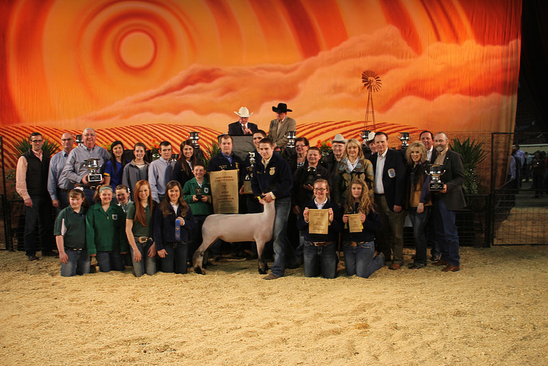 Grand Champion Market Lamb at 2014 OYE Sells for $20,000