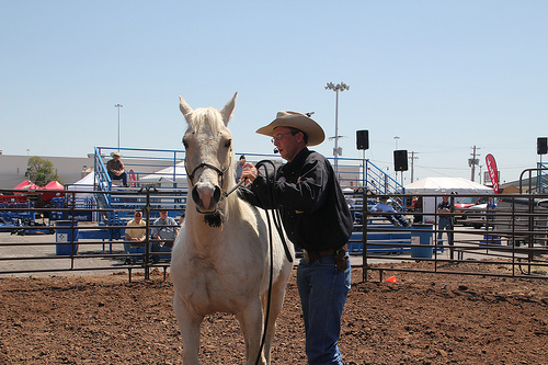 Scott Daily Horse-Training Seminar Featured at 2014 Oklahoma City Farm Show
