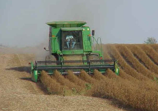U.S., South American Soybean Farmers Unite in China