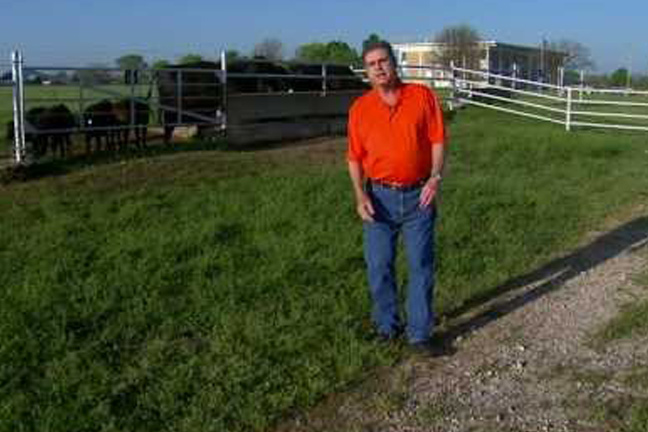 Cull Heifer Born Twin to a Bull, Glenn Selk Says