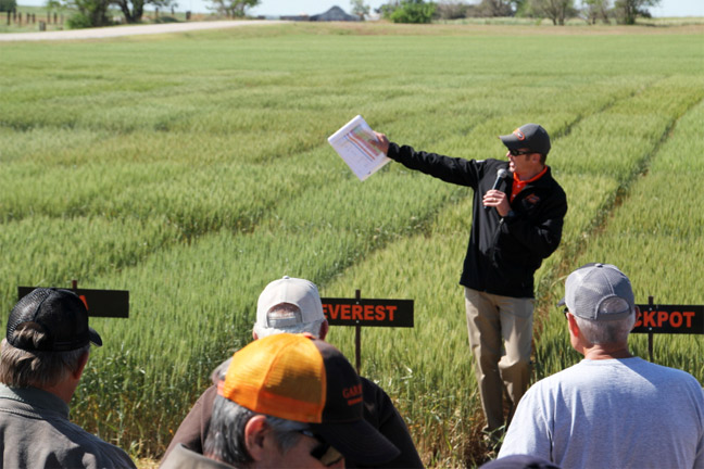 Wheat Yield Evaporating Each Day Without Rain, Jeff Edwards Says