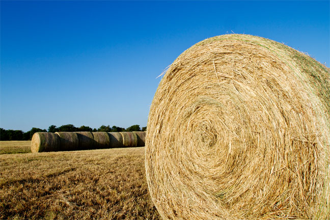 Glenn Selk Offers More Hay Storage Tips to Save More Hay