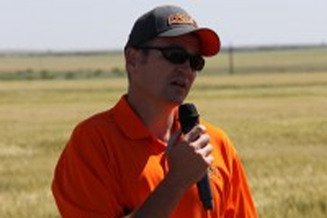 Lack of Moisture Impacts Wheat Forage Production Across State