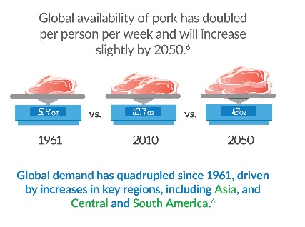 Pork Production to Double by 2050 