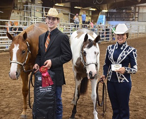 Oklahoma 4-H Members Shine in Horse Training Project