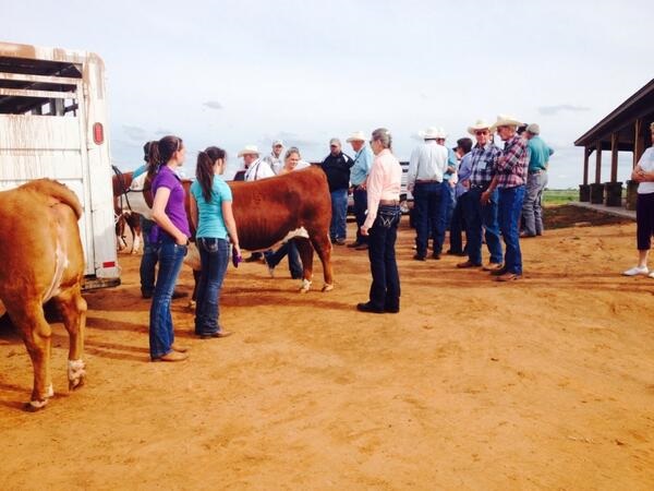 Harrison Family Enjoys Raising Good Cattle and Helping Youth