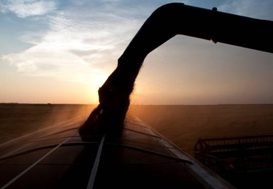 Plains Grains Calls Oklahoma Wheat Harvest 93 Percent Done- Kansas Hits Halfway Mark