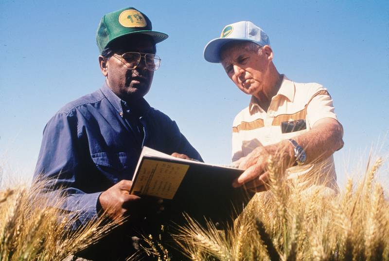 Wheat Scientist Honored with 2014 World Food Prize