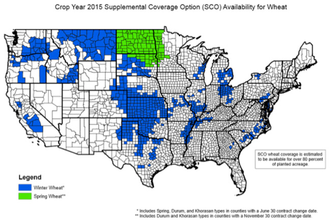 New Supplemental Coverage Option (SCO) For Winter Wheat