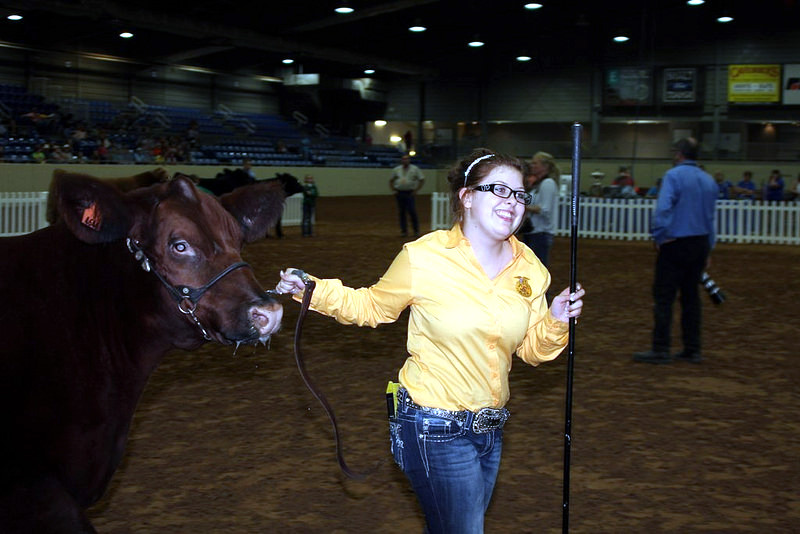 Lauren Bilderback El Reno FFA Shows Grand Champion Steer at Tulsa State Fair