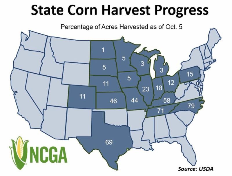 US Corn Harvest Continues Slowly 
