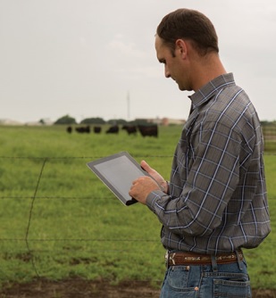 Noble Foundation Releases Cattle Recordkeeping App